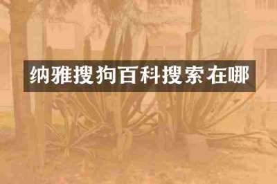 纳雅搜狗百科搜索在哪
