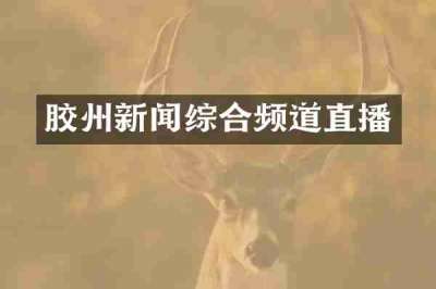 胶州新闻综合频道直播