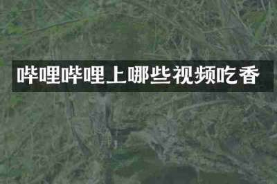 哔哩哔哩上哪些视频吃香