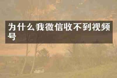 为什么我微信收不到视频号