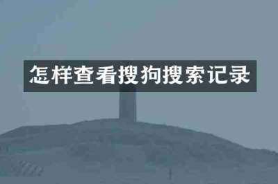 怎样查看搜狗搜索记录