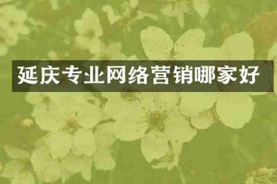 延庆专业网络营销哪家好