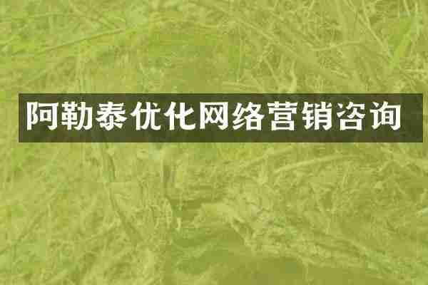 阿勒泰优化网络营销咨询