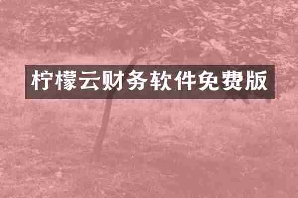 柠檬云财务软件免费版