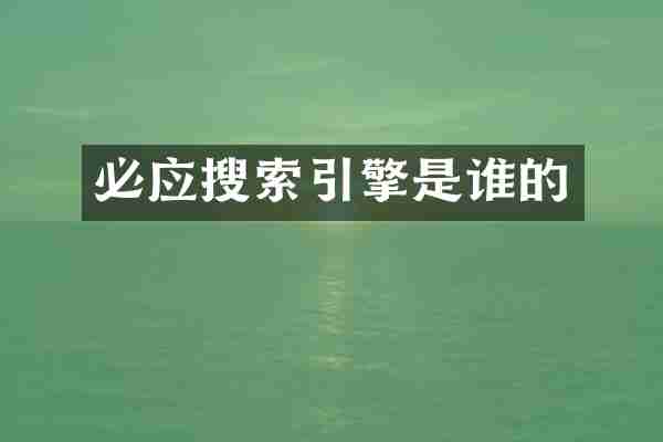 必应搜索引擎是谁的