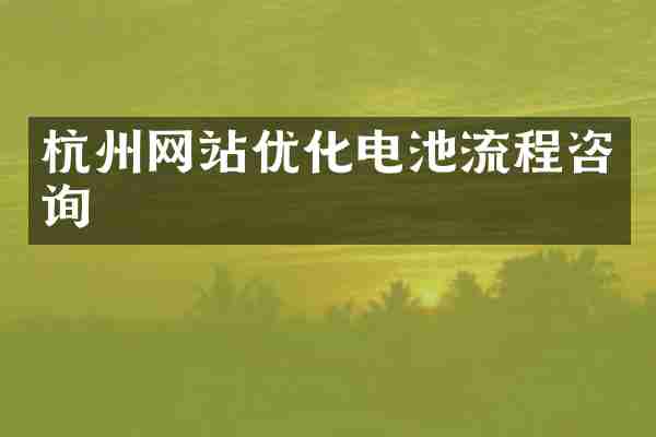 杭州网站优化电池流程咨询