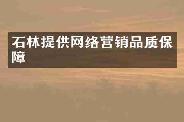 石林提供网络营销品质保障