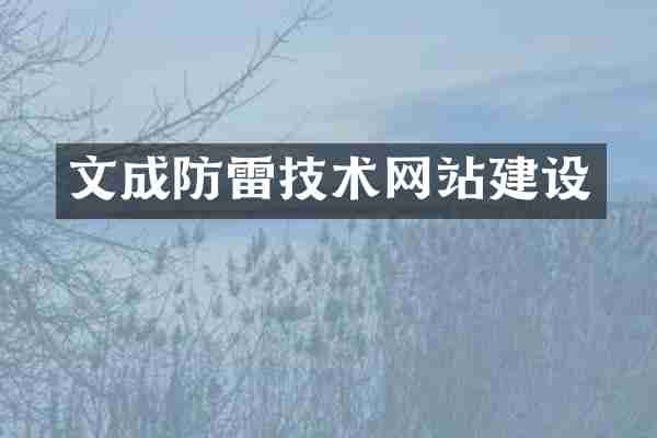 文成防雷技术网站建设