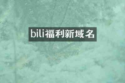 bili福利新域名