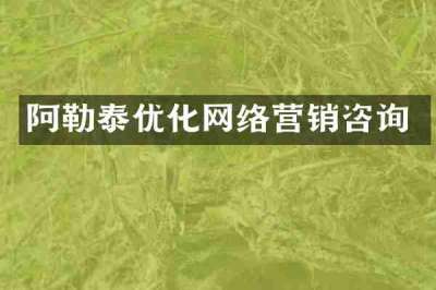 阿勒泰优化网络营销咨询