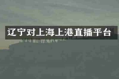 辽宁对上海上港直播平台