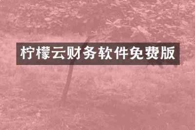 柠檬云财务软件免费版