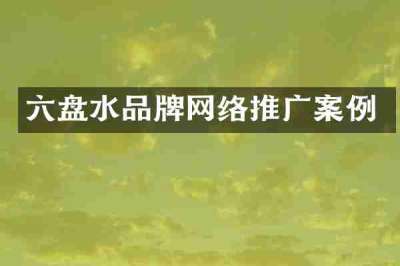 六盘水品牌网络推广案例