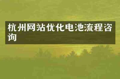 杭州网站优化电池流程咨询