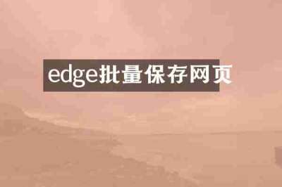 edge批量保存网页