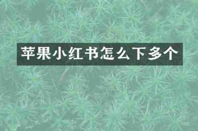 苹果小红书怎么下多个