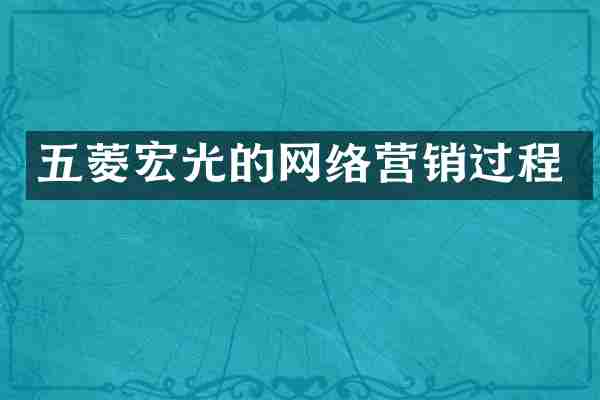 五菱宏光的网络营销过程