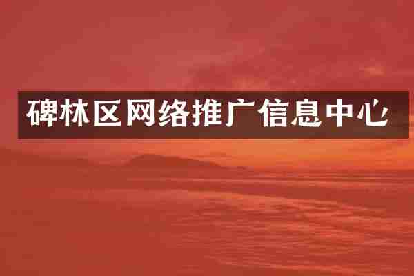 碑林区网络推广信息中心