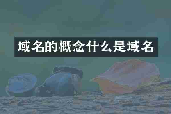 域名的概念什么是域名