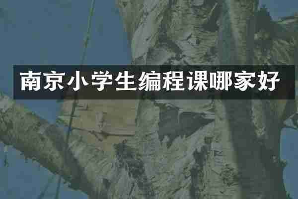 南京小学生编程课哪家好