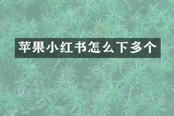 苹果小红书怎么下多个