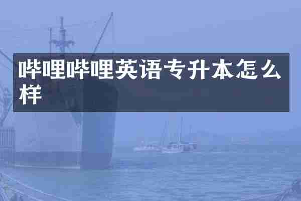 哔哩哔哩英语专升本怎么样