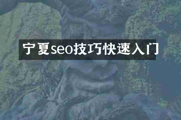 宁夏seo技巧快速入门