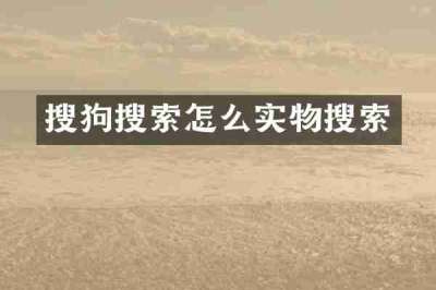 搜狗搜索怎么实物搜索