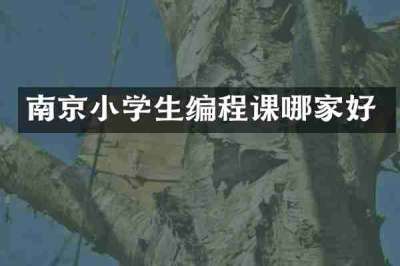 南京小学生编程课哪家好