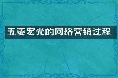 五菱宏光的网络营销过程