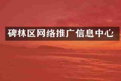 碑林区网络推广信息中心