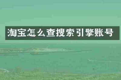 淘宝怎么查搜索引擎账号