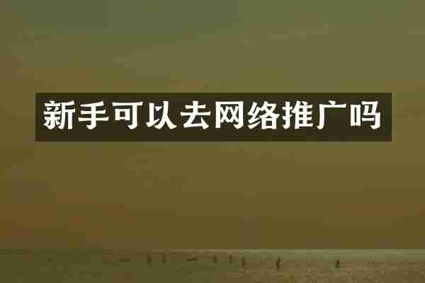 新手可以去网络推广吗