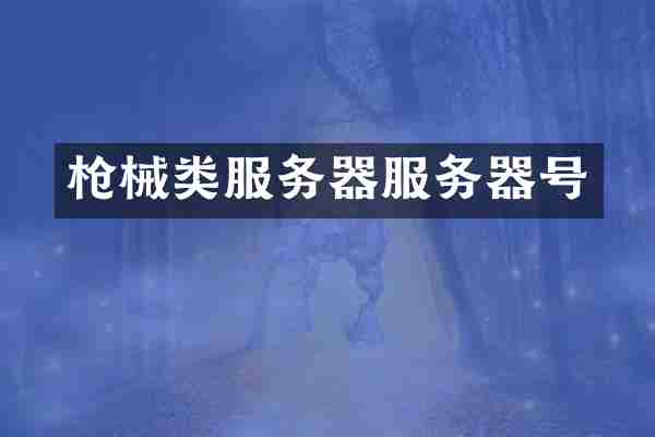 类服务器服务器号