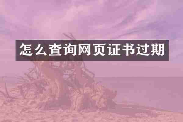 怎么查询网页证书过期