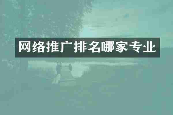 网络推广排名哪家专业