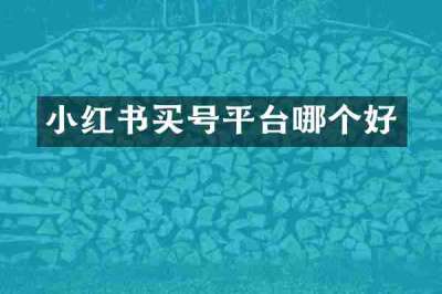 小红书买号平台哪个好