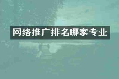 网络推广排名哪家专业