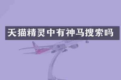 天猫精灵中有神马搜索吗