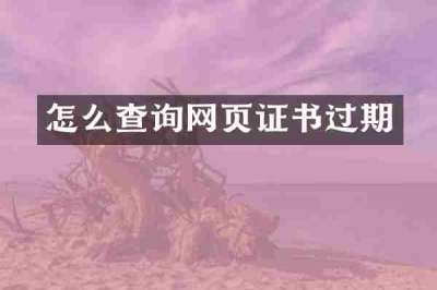 怎么查询网页证书过期