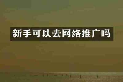 新手可以去网络推广吗