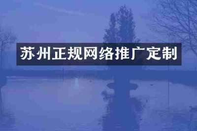 苏州正规网络推广定制
