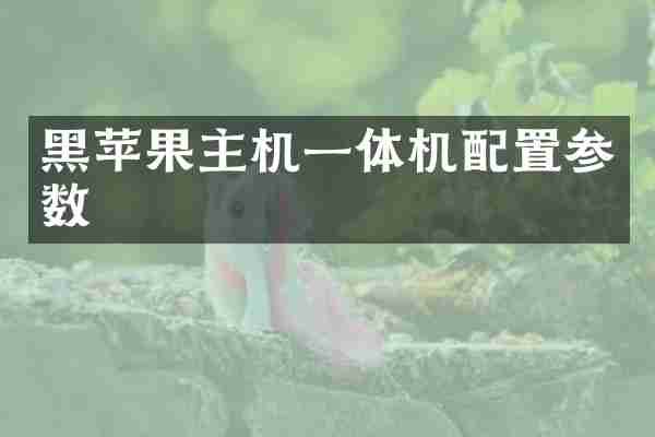 黑苹果主机一体机配置参数