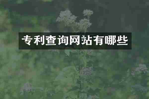 专利查询网站有哪些
