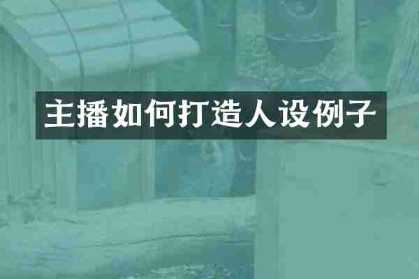 主播如何打设例子