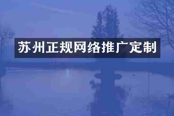 苏州正规网络推广定制