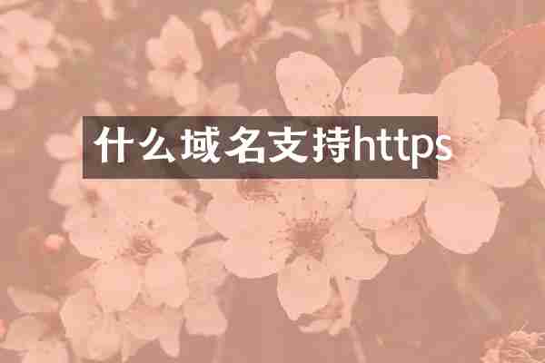 什么域名支持https