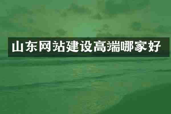 山东网站建设高端哪家好