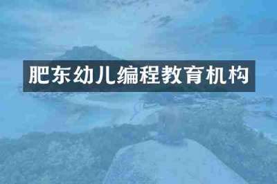 肥东幼儿编程教育机构