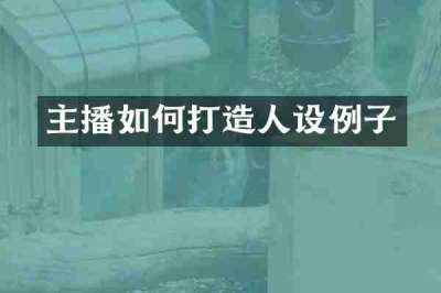 主播如何打造人设例子